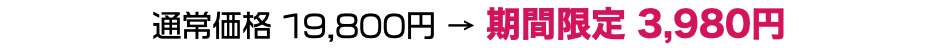 通常価格 19,800円 → 期間限定 3,980円